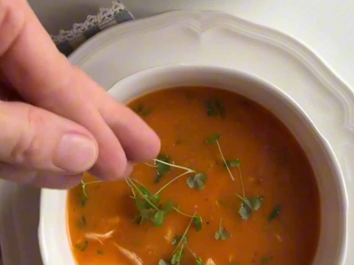 Sopa Cremosa de Frango com Vegetais: Uma Explosão de Nutrientes
